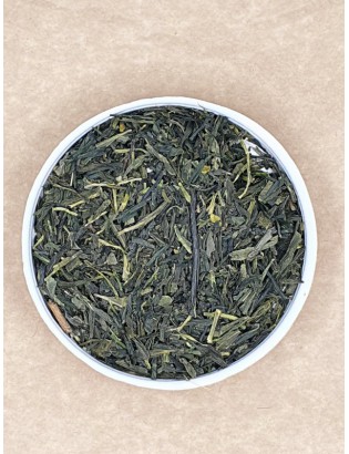 Sencha Koto